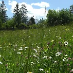 Almenhof Neuner * Krün
