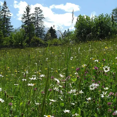 Almenhof Neuner * Krun